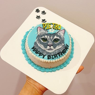 Cat Cake (Pick up only)