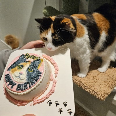 Cat Cake (Pick up only)